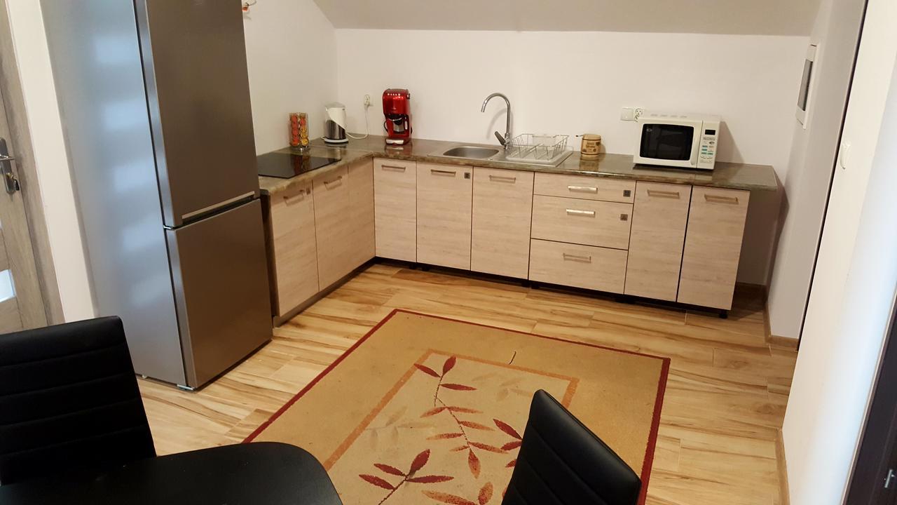 Apartamenty Daisy Goczałkowice-Zdrój Екстериор снимка